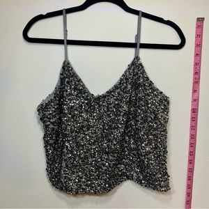 NWT Express Silver Sequin Crop Top